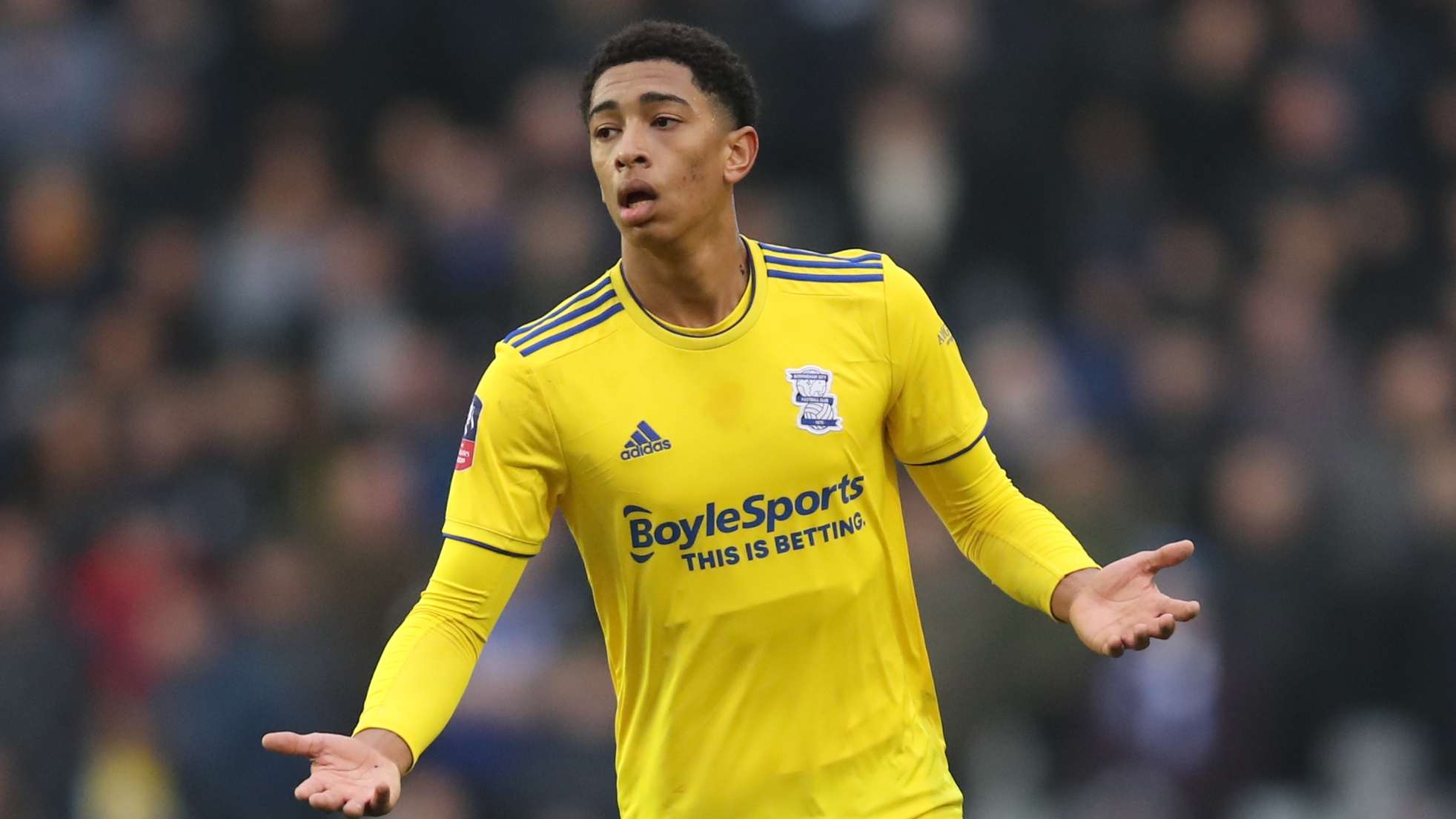 功离不开她 功离不开她